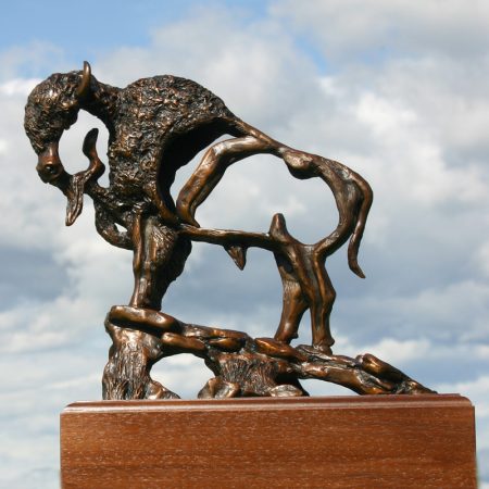 Bronze by Diane M Anderson