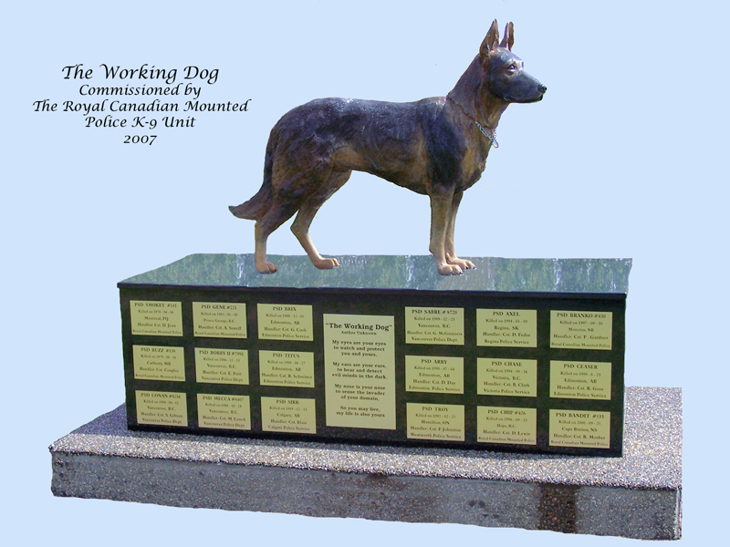 Bronze By Diane M Anderson