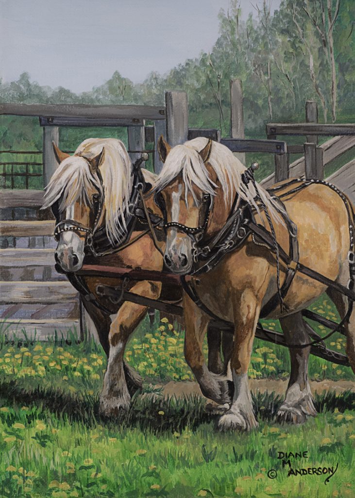 Original Painting By Diane M Anderson