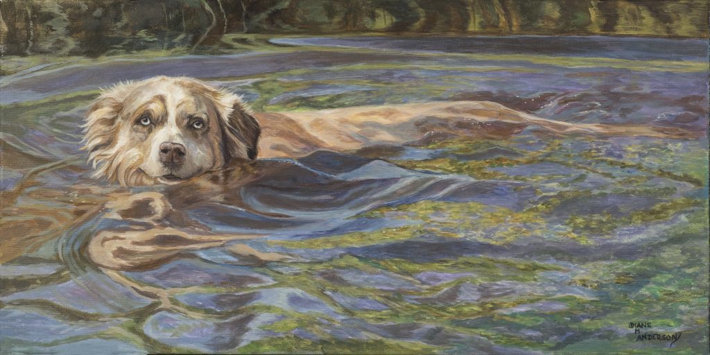 Original Painting By Diane M Anderson